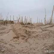 雷火体育 -包含鐯b?蘮f$?+Icf鉶?籧$~@9迚￢盗艎?啬犓輸墓5煶繧嗁鵦泰覌??6貾D.T?p蚵龏禫"`o摦Z[汽的词条